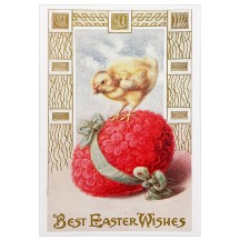 Best Easter Wishes Chick Easter Postcard ~ Holland