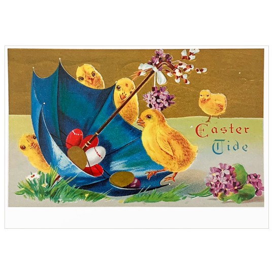 Chicks Eggs and Umbrella Easter Postcard ~ Holland