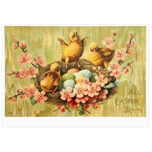 Chicks Nest Easter Postcard ~ Holland