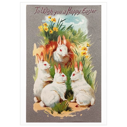 White Rabbits Easter Postcard ~ Holland