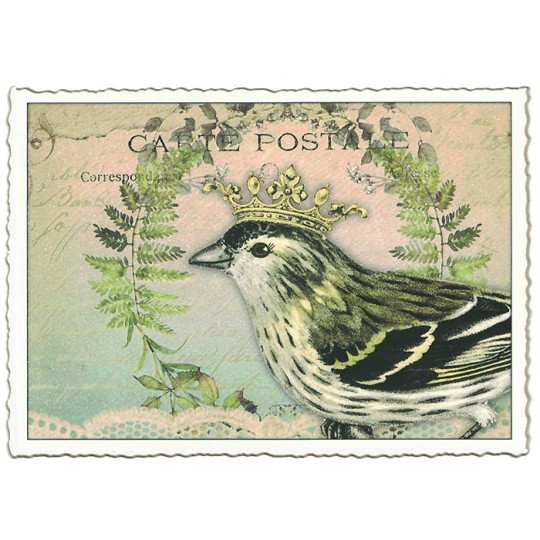 Regal Bird Fancy Postcard ~ Germany