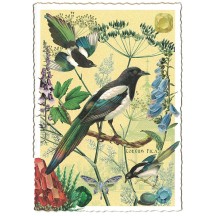 Bird Collage with Gems Fancy Postcard ~ Germany