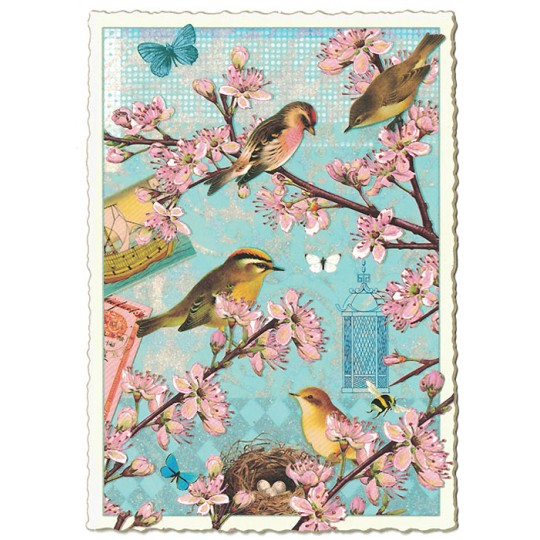 Birds on Branches Collage Postcard ~ Germany
