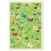 Petite Butterflies Collage Green Postcard ~ Germany