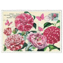 Peppermint Flowers Collage Postcard ~ Germany