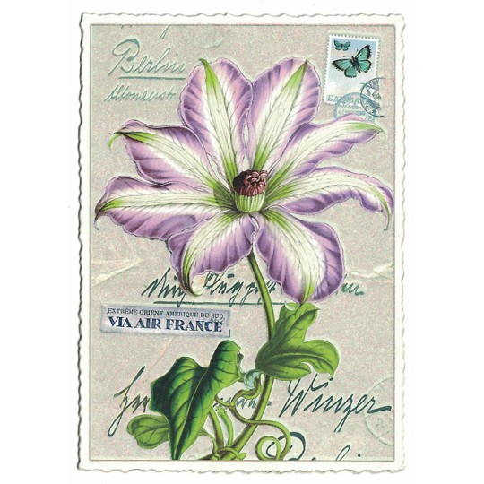 Purple Passion Flower Collage Postcard ~ Germany