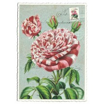 Peppermint Rose Collage Postcard ~ Germany