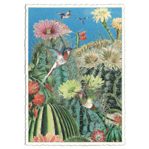 Hummingbird Cactus Garden Postcard ~ Germany