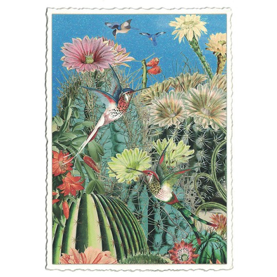 Hummingbird Cactus Garden Postcard ~ Germany