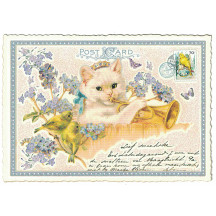 Fancy Trumpet Cat Musician Postcard ~ Germany
