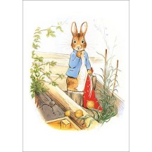 Beatrix Potter Postcard with Peter Rabbit ~ Sweden
