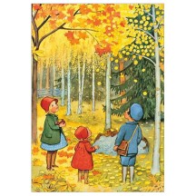 Autumn Forest Postcard ~ Sweden