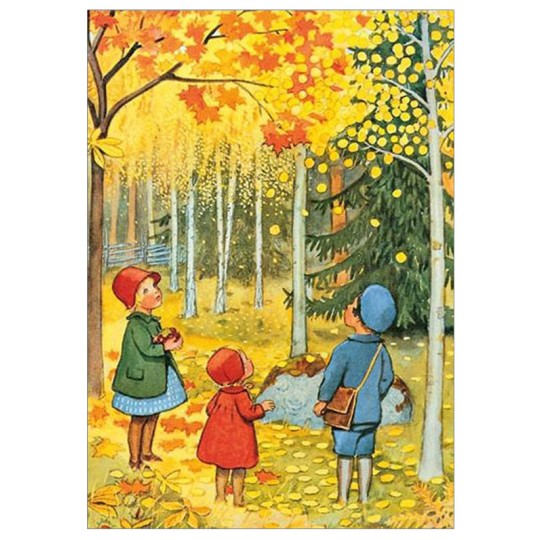 Autumn Forest Postcard ~ Sweden
