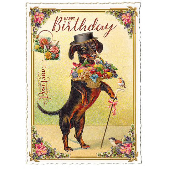 Dachshund Happy Birthday Large Postcard ~ Germany