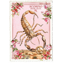 Scorpio Zodiac Collage Postcard ~ Germany