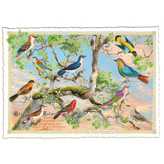 Colorful Birds on Branches Postcard ~ Germany