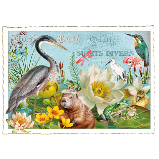 Pond Collage Postcard ~ Germany