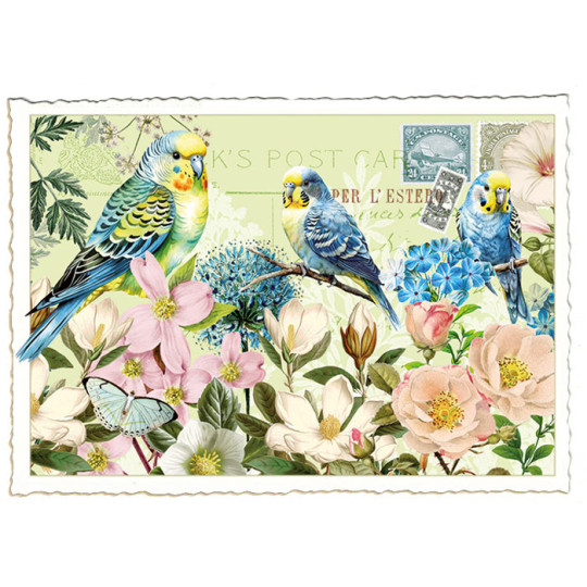 Parakeets and Pastel Roses Postcard ~ Germany