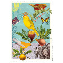 Bird and Fruit Collage Aqua Postcard ~ Germany