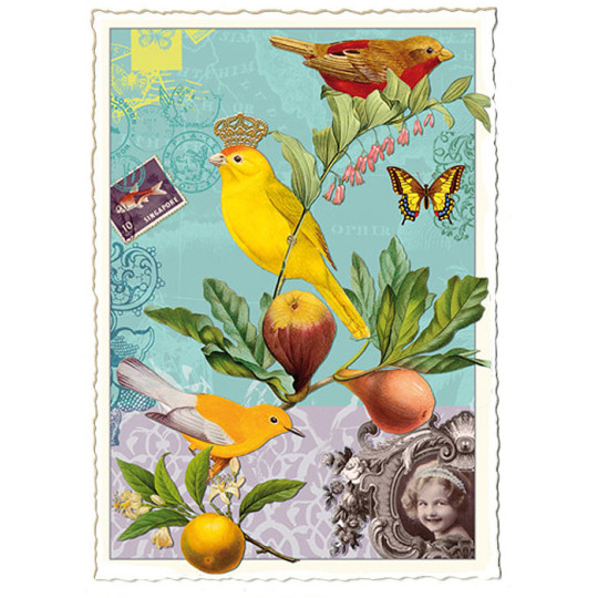 Bird and Fruit Collage Aqua Postcard ~ Germany