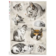 Mixed Cats Rice Paper Decoupage Sheet ~ Italy