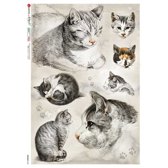 Mixed Cats Rice Paper Decoupage Sheet ~ Italy