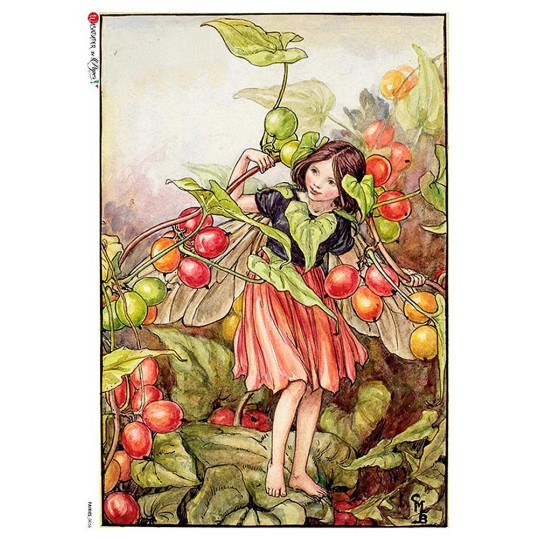 The Black Bryony Fairy Flower Fairies Rice Paper Decoupage Sheet ~ Italy