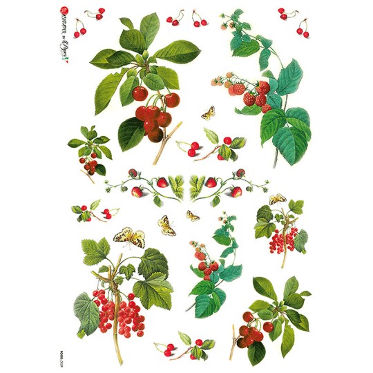 Cherries and Berries Rice Paper Decoupage Sheet ~ Italy