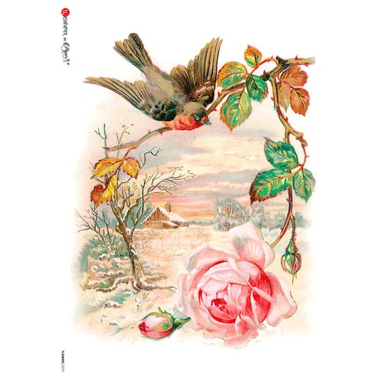 Sparrow and Rose Rice Paper Decoupage Sheet ~ Italy