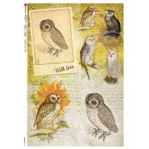Owl Collage Ephemera Rice Paper Decoupage Sheet ~ Italy