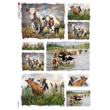 Mixed Cows Rice Paper Decoupage Sheet ~ Italy
