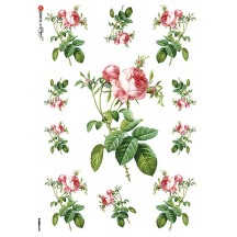 Pink Roses Rice Paper Decoupage Sheet ~ Italy