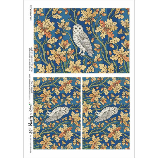 Owls and Acorns Rice Paper Decoupage Sheet ~ Italy
