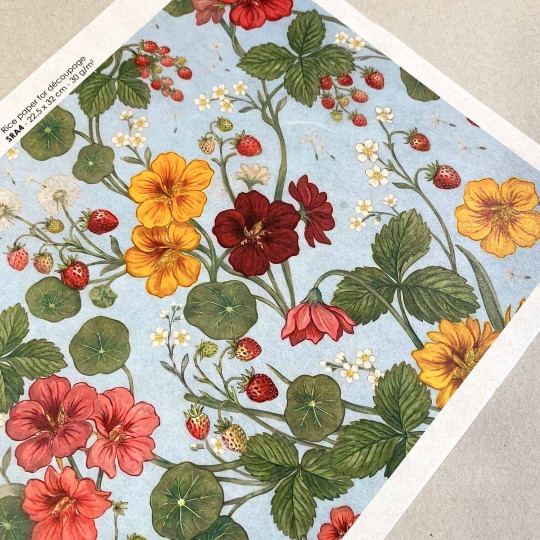 Nasturtiums and Strawberries on Light Blue Rice Paper Decoupage Sheet ~ Italy