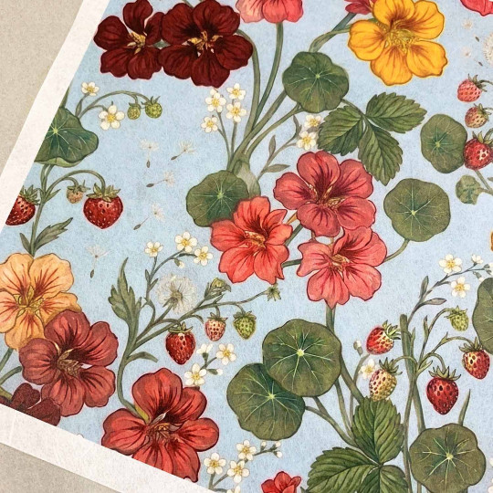 Nasturtiums and Strawberries on Light Blue Rice Paper Decoupage Sheet ~ Italy
