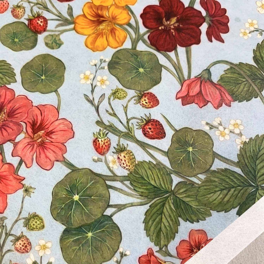 Nasturtiums and Strawberries on Light Blue Rice Paper Decoupage Sheet ~ Italy