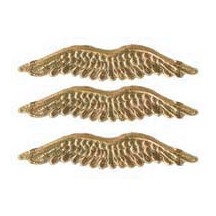 Gold Dresden Foil Wings ~ 12