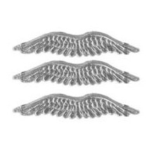 Silver Dresden Foil Wings ~ 12