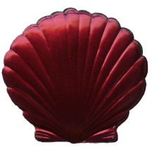 Extra Large Burgundy Dresden Scallop Sea Shell ~ 2