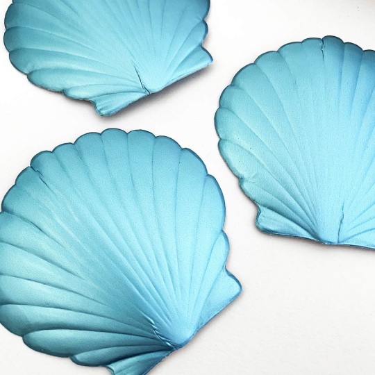 Extra Large Light Blue Dresden Scallop Sea Shell ~ 2