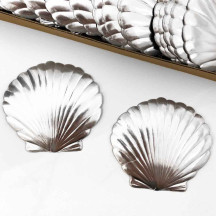 Extra Large SIlver Dresden Scallop Sea Shell ~ 2