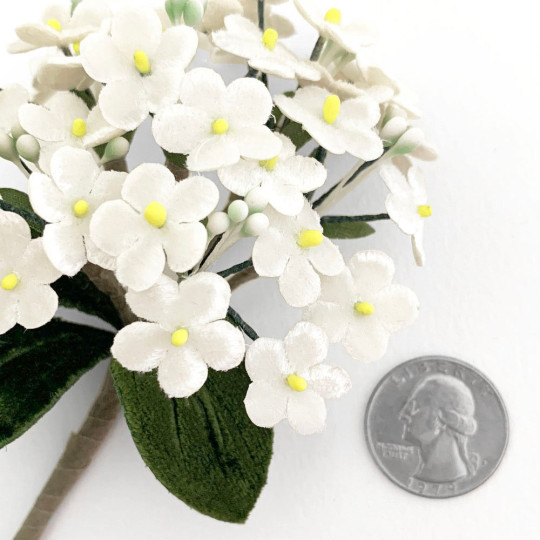 Bundle of Velvet Forget me Nots ~  WHITE