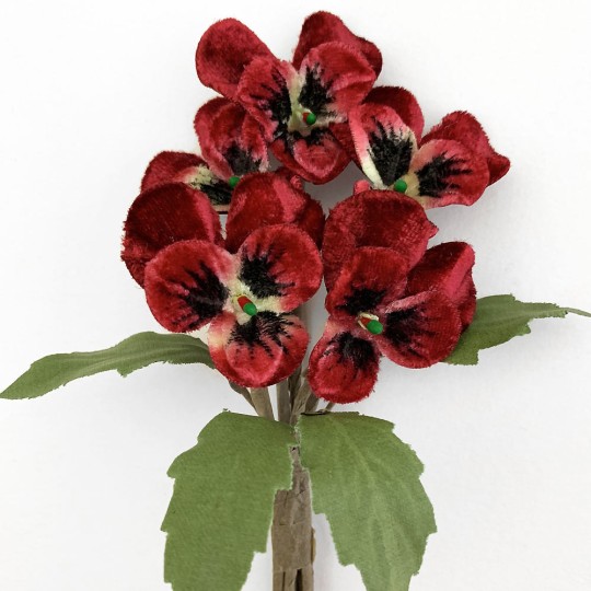 Spray of Small Velvet Pansies ~ Czech Republic ~ Dark Red