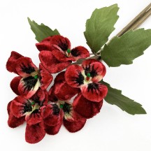 Spray of Small Velvet Pansies ~ Czech Republic ~ Dark Red