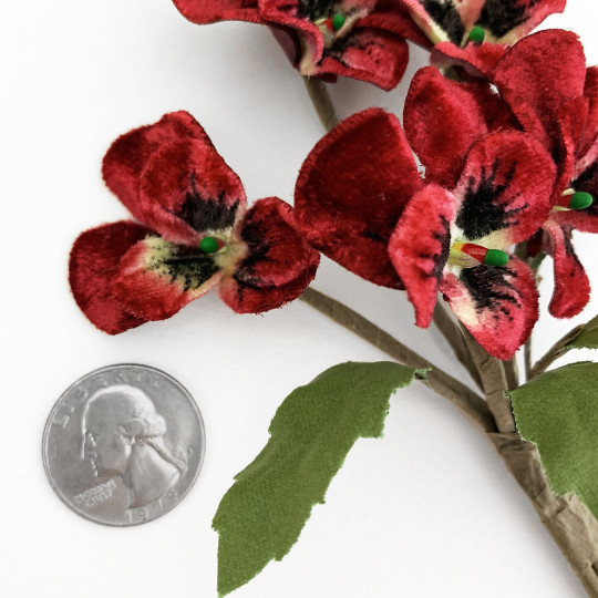 Spray of Small Velvet Pansies ~ Czech Republic ~ Dark Red