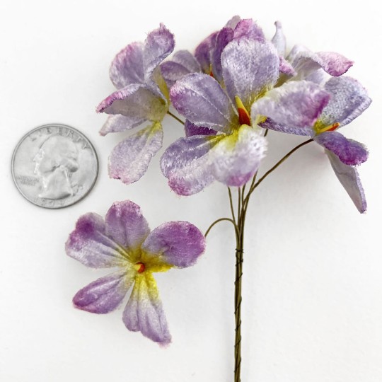 Bundle of 6 Velvet Violets ~ Czech Republic ~ Light Purple Ombre