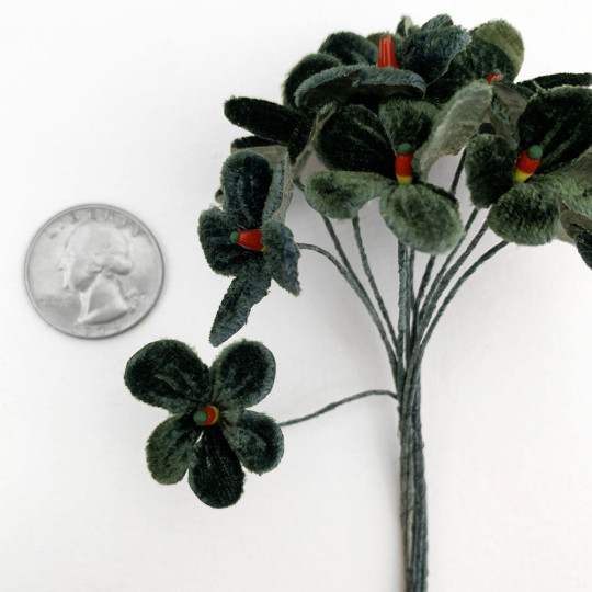 Bouquet of 12 Dark Green Velvet Forget Me Nots ~ Czech Republic