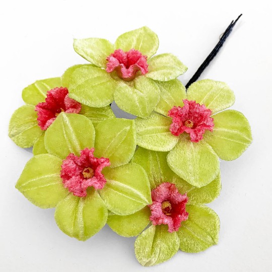 5 Velvet Fabric Narcissus ~ Czech Republic ~ Light Green + Pink