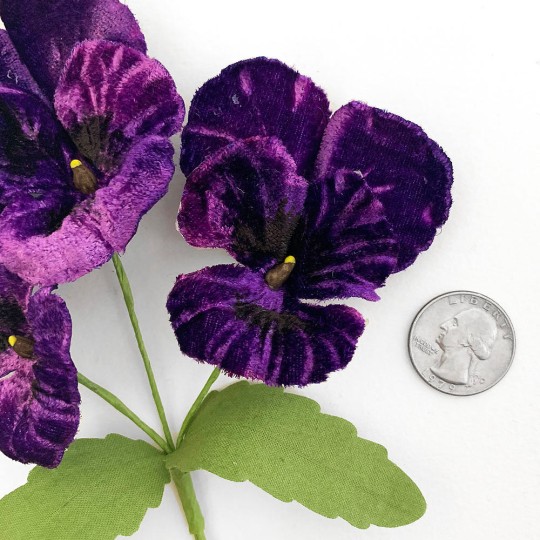 Spray of Large Dark Purple Velvet Pansies ~ Czech Republic