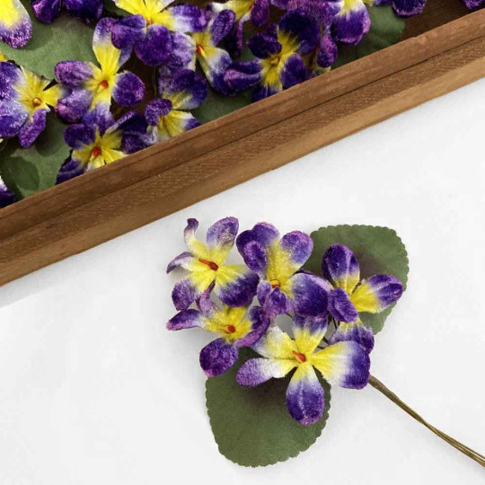 Spray of 5 Purple + Yellow Velvet Violets ~ Czech Republic